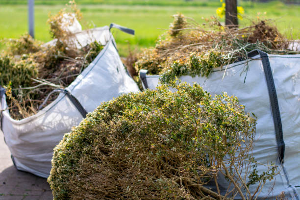 Best Appliance Removal Near Me  in Louisiana, MO